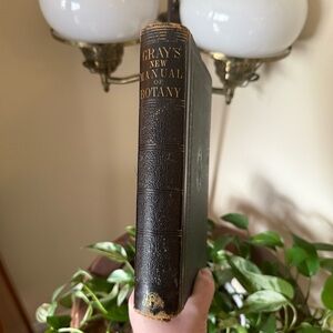 c1875 Edition Gray's New Manual of Botany